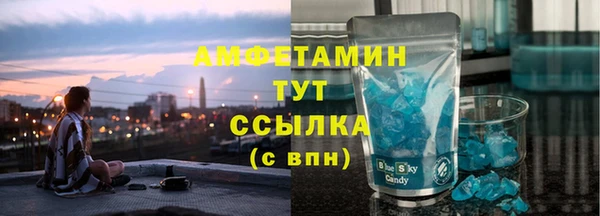 гидра Аркадак