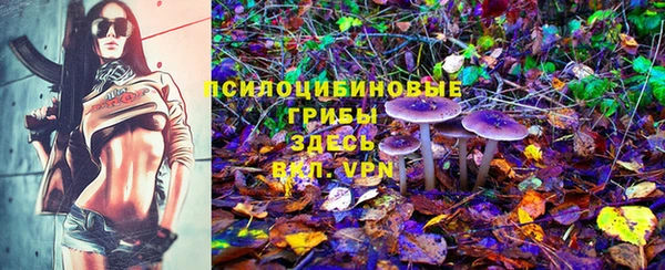 гидра Аркадак