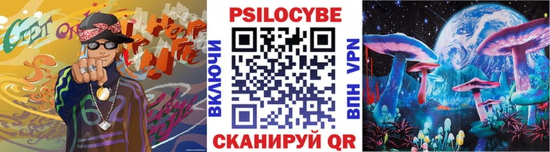 MEGA ONION  Астрахань  Псилоцибиновые грибы Cubensis 